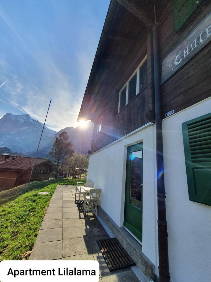 Apartment Lilalama Grindelwald Zewnętrze zdjęcie