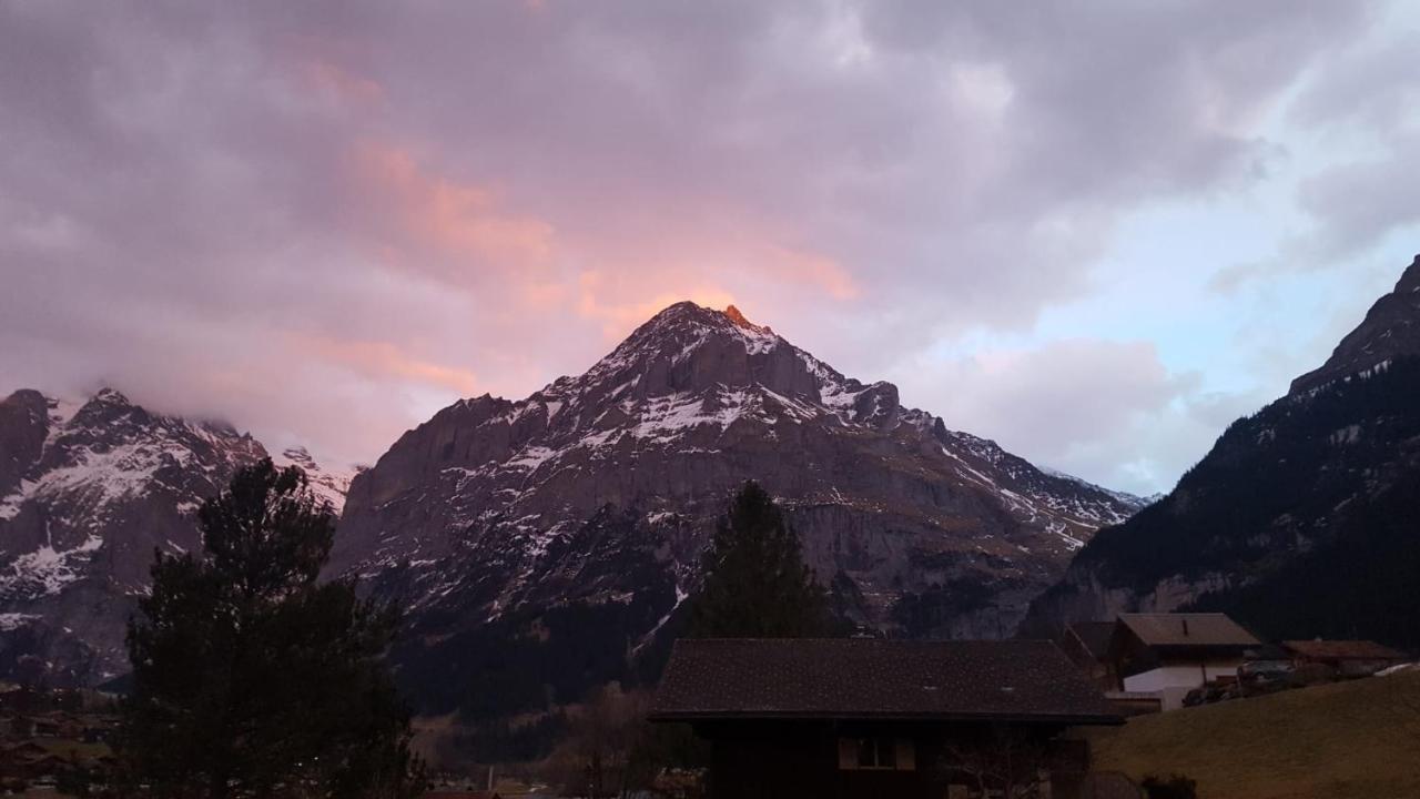 Apartment Lilalama Grindelwald Zewnętrze zdjęcie