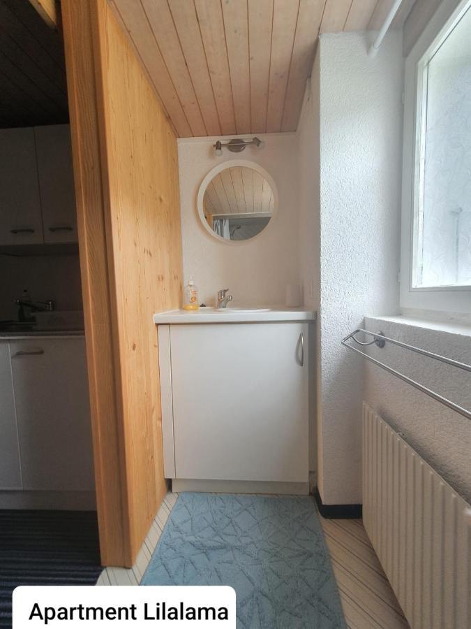 Apartment Lilalama Grindelwald Zewnętrze zdjęcie