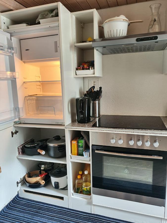 Apartment Lilalama Grindelwald Zewnętrze zdjęcie