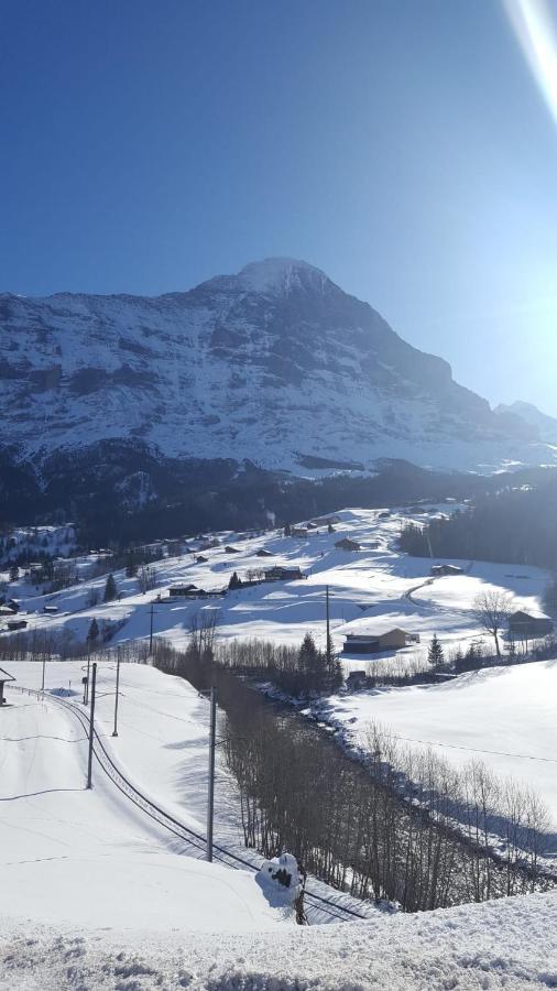 Apartment Lilalama Grindelwald Zewnętrze zdjęcie