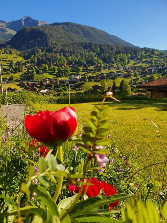 Apartment Lilalama Grindelwald Zewnętrze zdjęcie